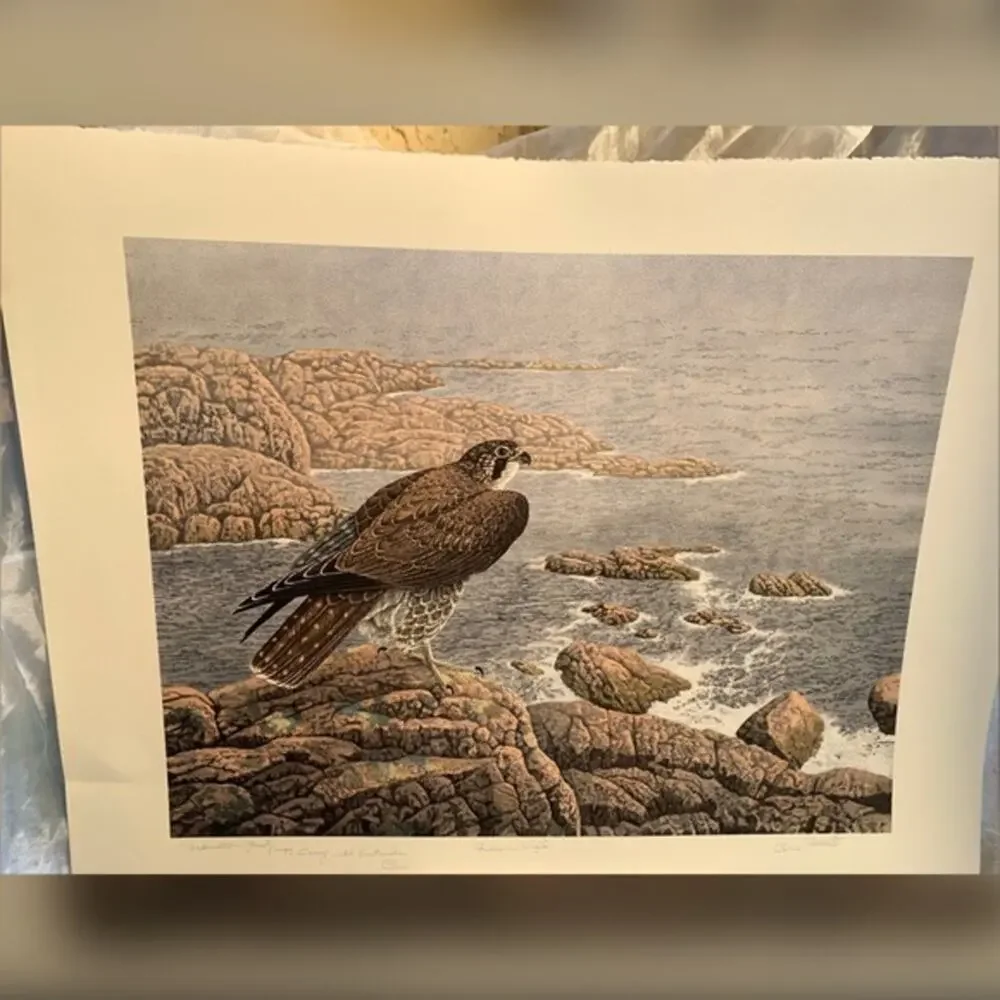 - Chris Forrest Lithograph ‘Falcons Vigil 1979’